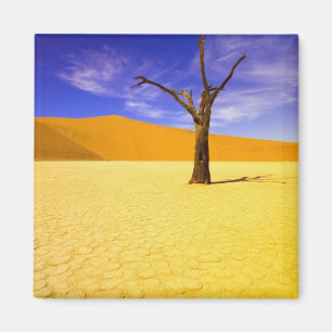 Aimant Arbres squelettes dans Dead Vlei Sossusvlei,