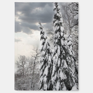 Aimant Arbres verts enneigés sous un hiver dramatique