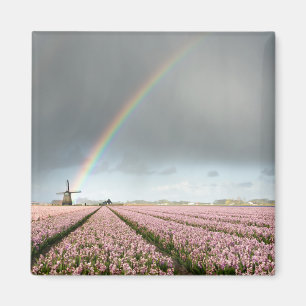 Aimant Arc-en-ciel au-dessus des jacinthes et un moulin 