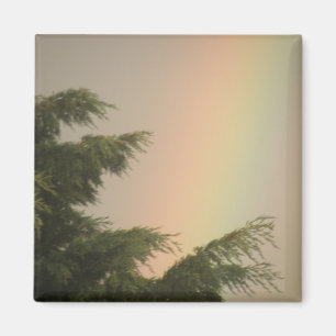 Aimant Arc-en-ciel et Arbres magnétiques