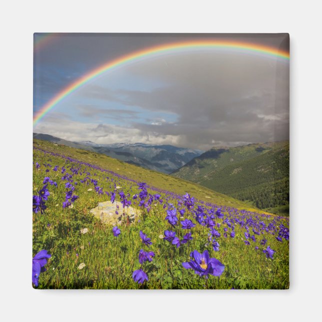 Aimant Arc En Ciel Sur Un pré Fleuri (Devant)