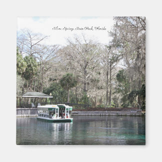 Aimant Argent Springs, Floride, Bateau fond de verre