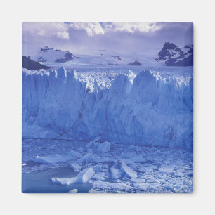Aimant Argentine, Patagonie, Parc National los