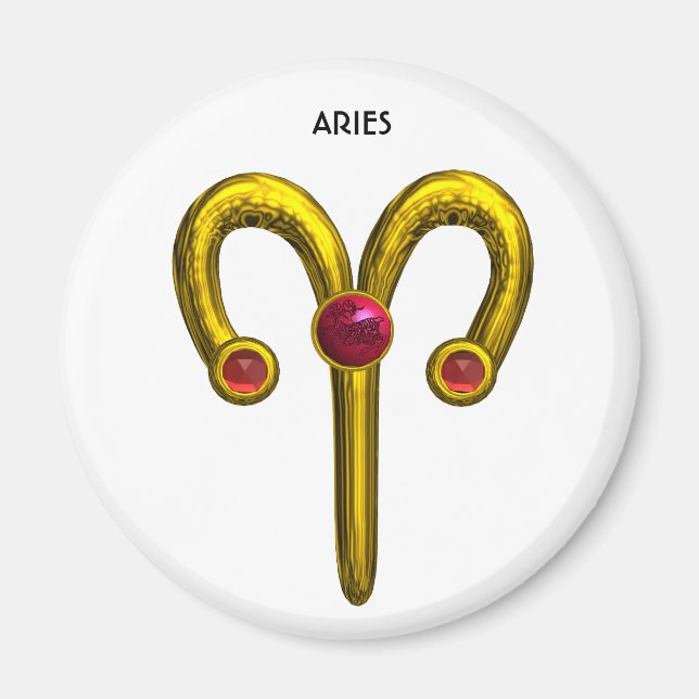 AIMANT ARIES (Devant)