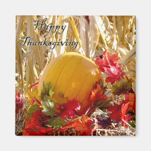 Aimant Arrangé en rouge