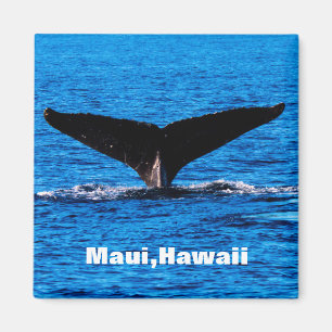 Aimant arrière de baleine à bosse de Maui personna