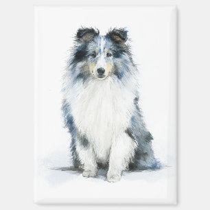 Aimant Art aquarelle de Berger des Shetland BLUE MERLE