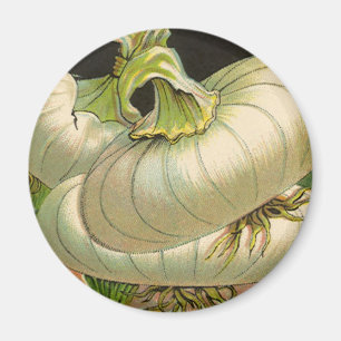 Aimant Art de l'étiquette de paquet de graines vintage Oi