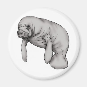 Aimant art manatee