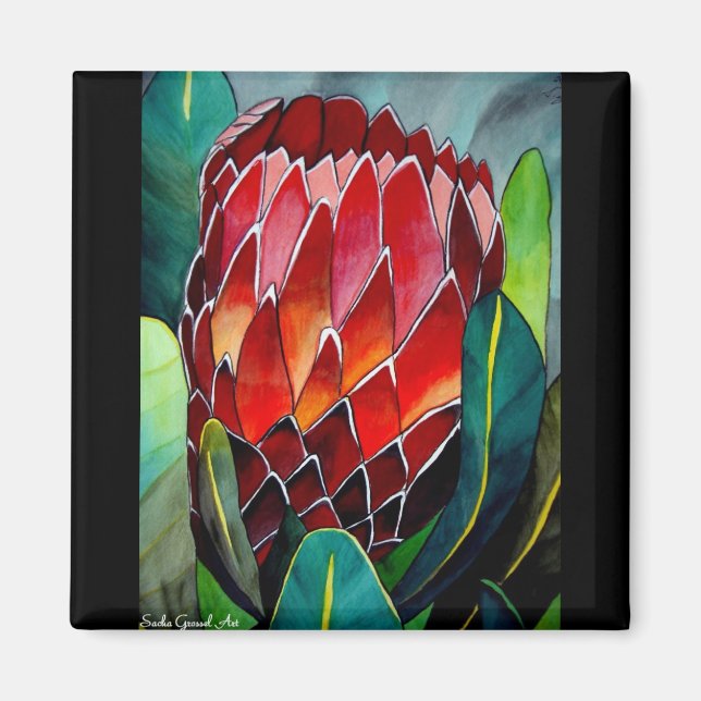 Aimant Art original de la fleur d'aquarelle Red Protea (Devant)