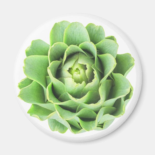 Aimant Artichoke (Devant)