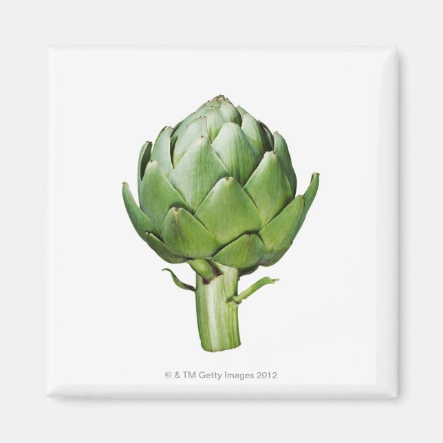Aimant Artichoke du Globe sur un Arrière - plan blanc cou (Devant)