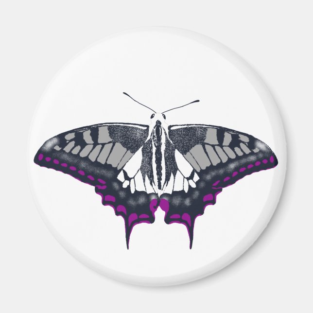 Aimant Asexual Flag Swallowtail (Devant)