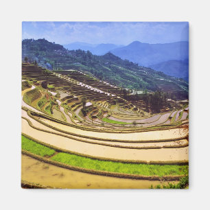 Aimant Asie, Chine, province du Yunnan, comté de Yuanyang