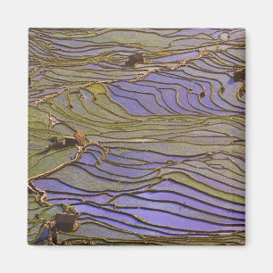 Aimant Asie, Chine, province du Yunnan, Yuanyang. Inondé