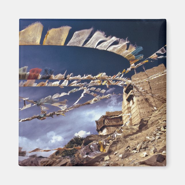 Aimant Asie, Inde, Ladakh, Leh. Connu comme Little (Devant)