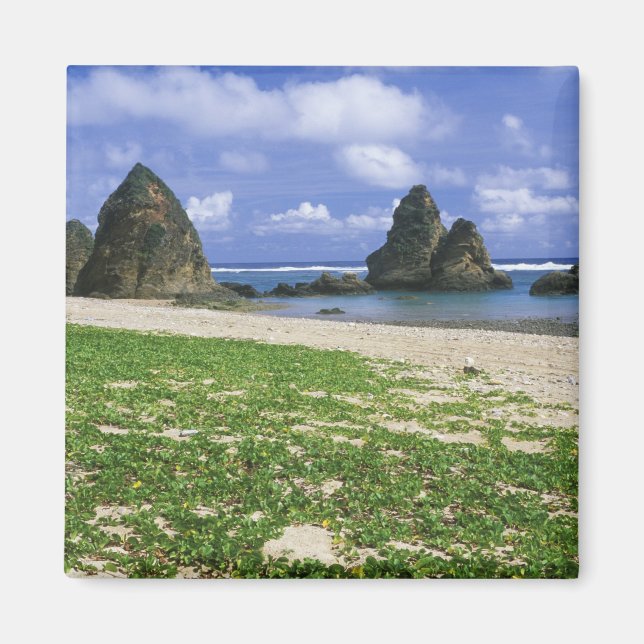 Aimant Asie, Japon, Okinawa, Côte de Yambaru, Mer (Devant)