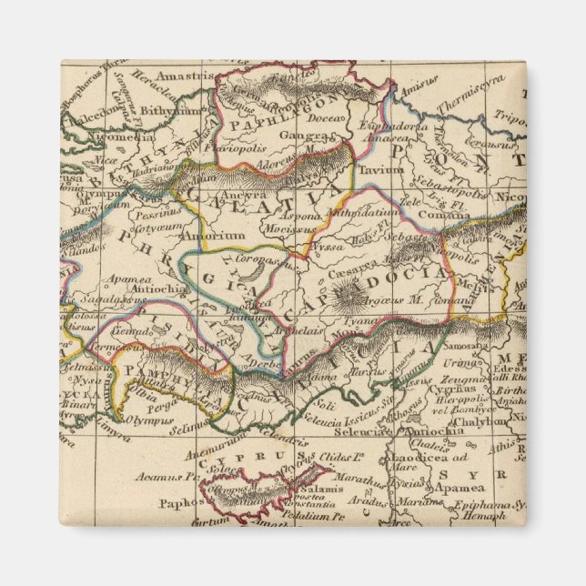 Aimant Asie mineure (Devant)