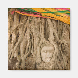 Aimant Asie, Thaïlande, Siam, Bouddha dans les ornières d