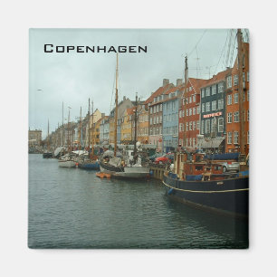 Aimant Asile de Ny