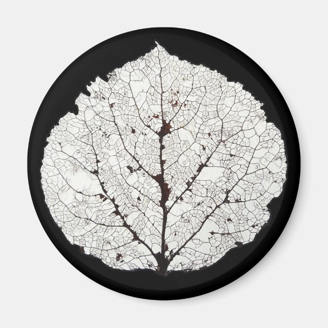 Aimant Aspen Feuille Squelette 1 (Devant)