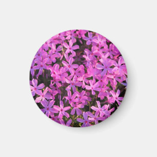 Aimant assez pourpre de fleurs