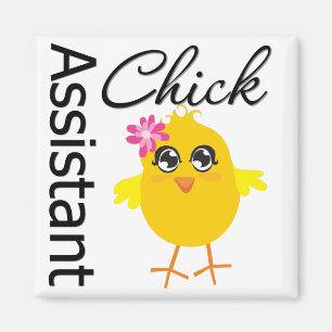 Aimant Assistant