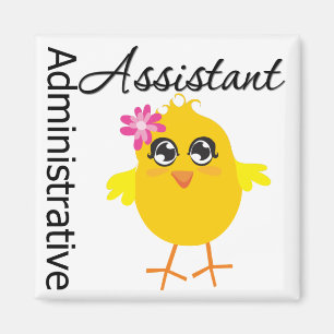 Aimant Assistant administratif mignon de poussin de