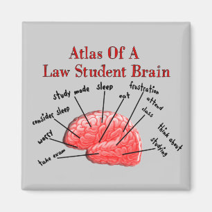 Aimant Atlas de cerveau d'étudiant en droit