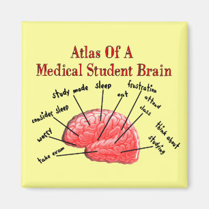 Aimant Atlas de cerveau d'étudiant en médecine