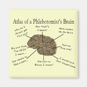 Aimant Atlas du cerveau d'un phlébotomiste