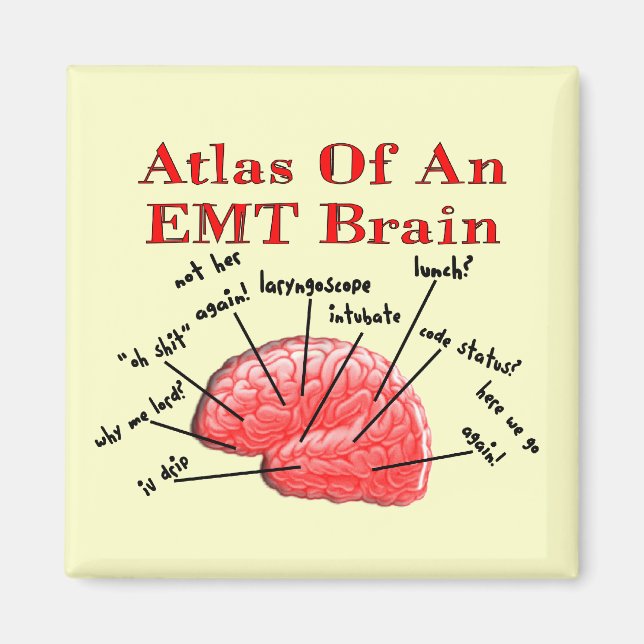 Aimant Atlas D'Un Cerveau D'EMT (Devant)