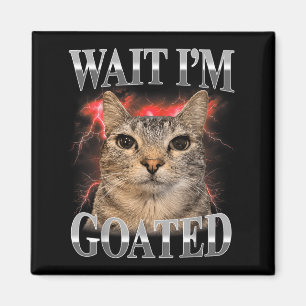 Aimant Attends Je Suis Divin Chaton Drôle Mème de Chat Dr