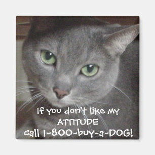 Aimant Attitude d'humour chat gris bleu russe