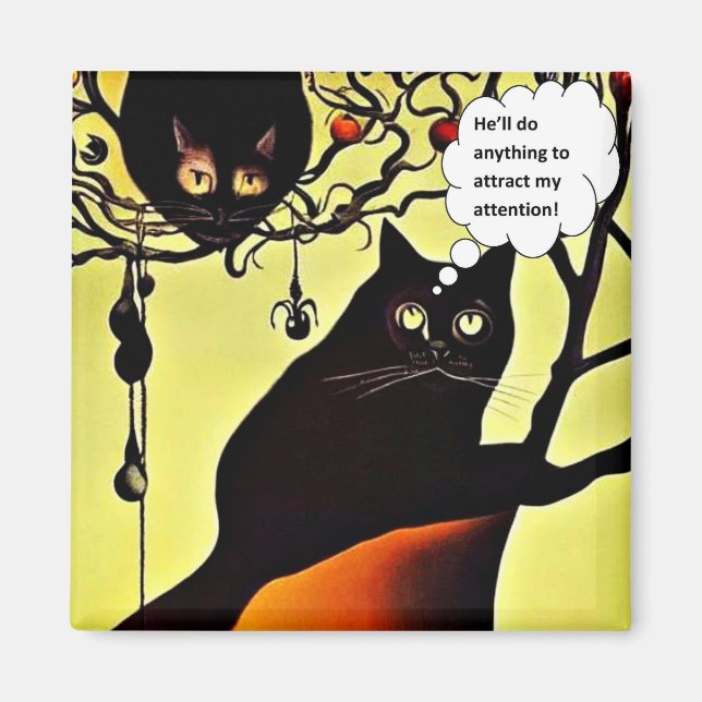 Aimant Attracting my attention (Devant)