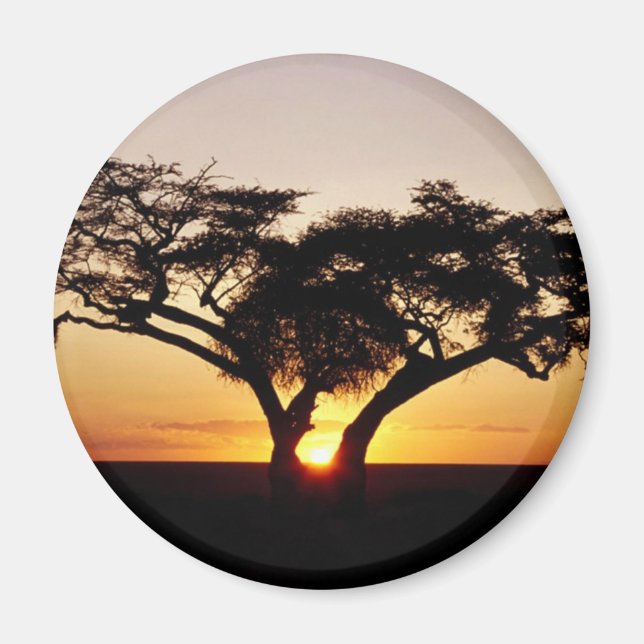 AIMANT AU KENYA (Devant)