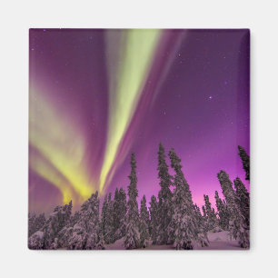 Aimant Aurora Borealis Northern Lights Fairbanks Alaska