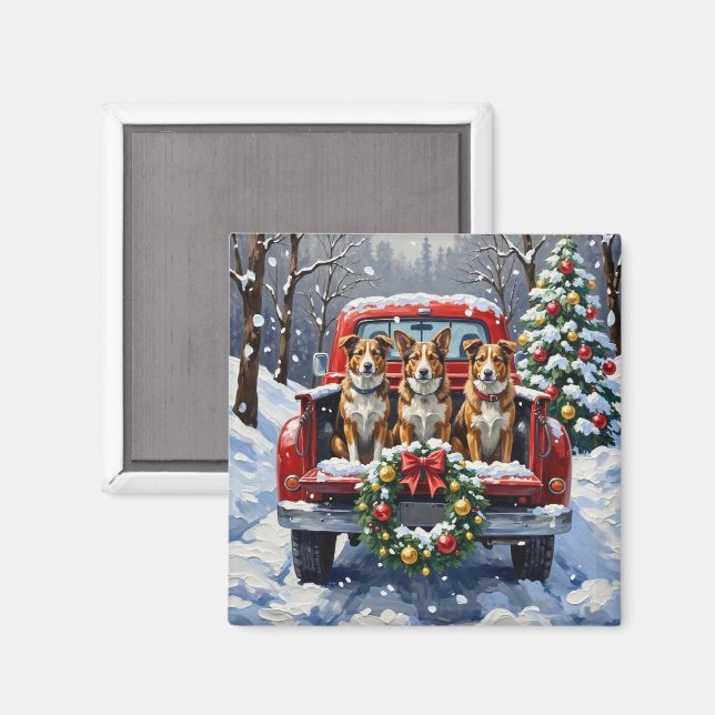 Aimant Australian Cattle Dog Christmas Red Truck Holiday (Recto/Verso)