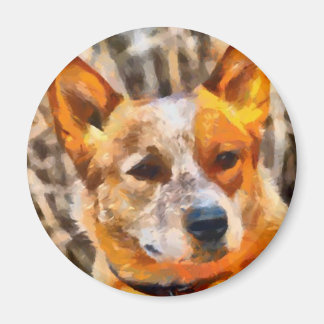 Aimant Australian Cattle dog - Red Heeler