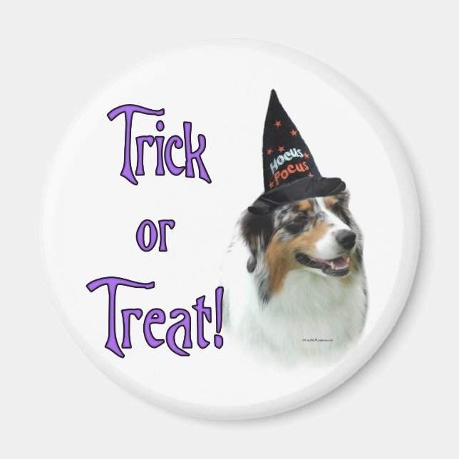 Aimant Australian Shepherd Trick (Devant)