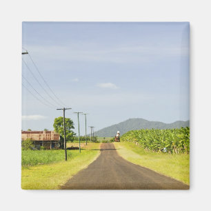 Aimant Australie, Queensland, North Coast, Babinda.