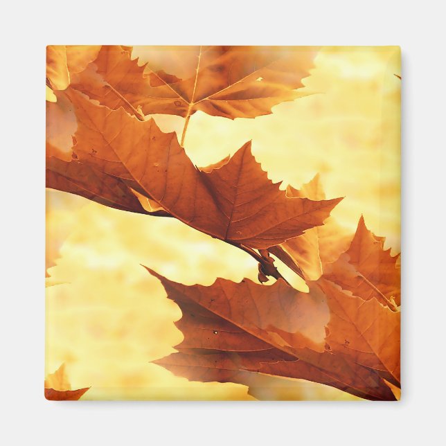 Aimant Automne (Devant)