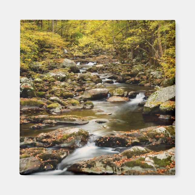 Aimant Automne à Big Creek (Devant)