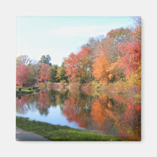 Aimant Automne dans l'aimant de ~ de la Nouvelle