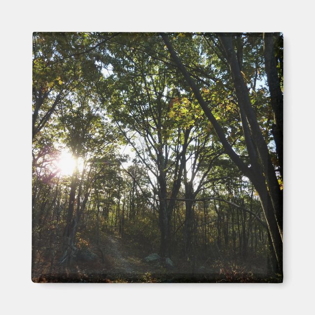 Aimant Automne Matin au Parc national de Shenandoah (Devant)