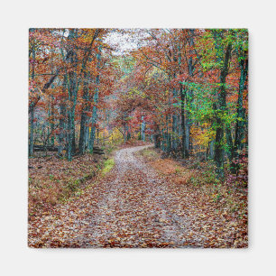 Aimant Automne sur le chemin Dirt nouveau