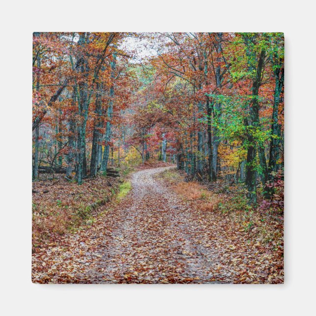Aimant Automne sur le chemin Dirt nouveau (Devant)