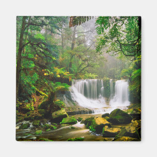 Aimant Automnes de fer à cheval entourés par la forêt