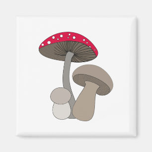 Aimant aux champignons
