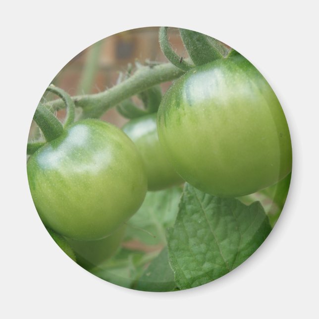 Aimant aux tomates vertes (Devant)
